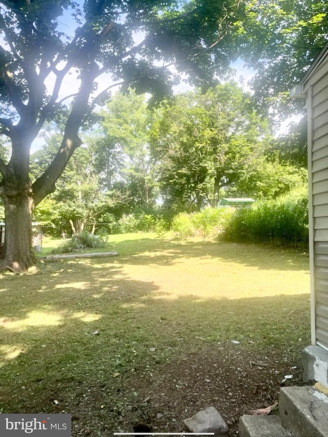 view of yard