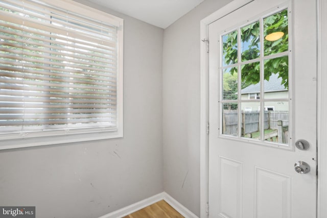 entryway featuring hardwood / wood-style floors