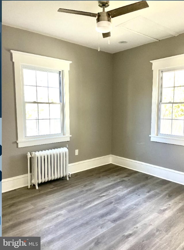 empty room featuring ceiling fan, radiator, plenty of natural light, and hardwood / wood-style floors