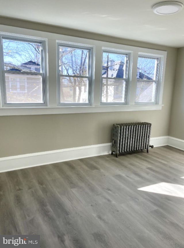 bonus room featuring radiator heating unit and hardwood / wood-style flooring