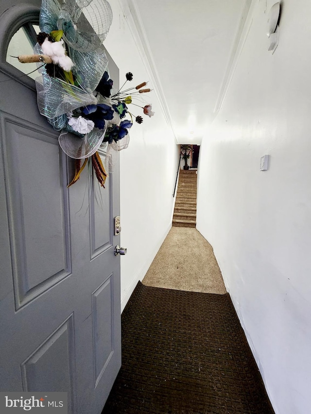 hall featuring crown molding and carpet flooring