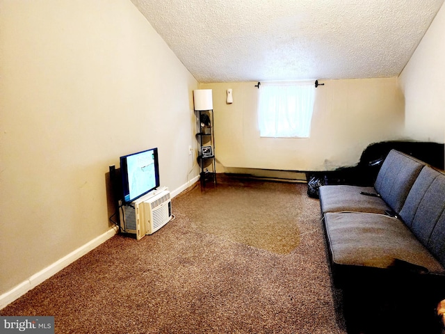 living area with carpet and a textured ceiling