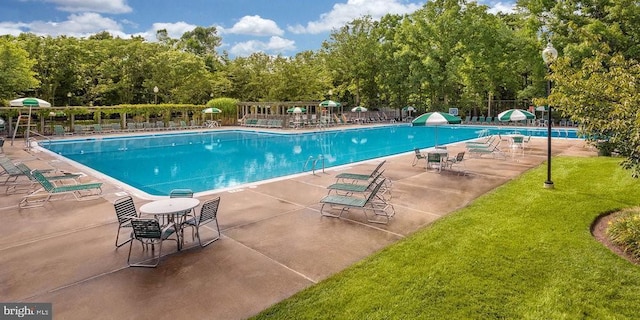 view of pool featuring a patio