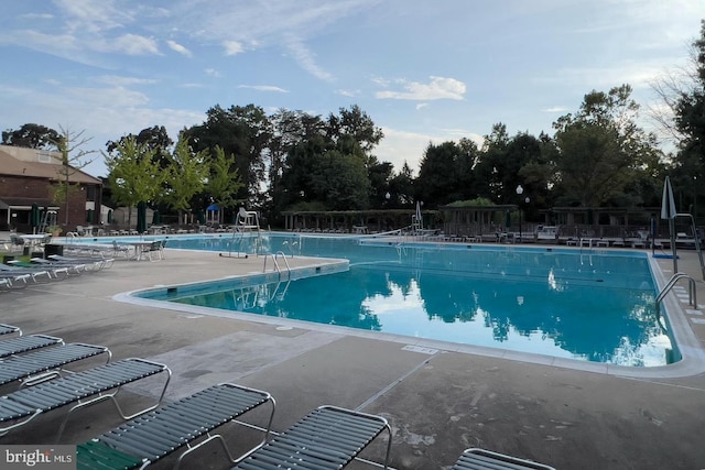 view of pool with a patio area