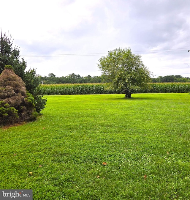 view of yard featuring a rural view