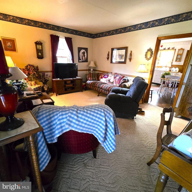 living room with carpet