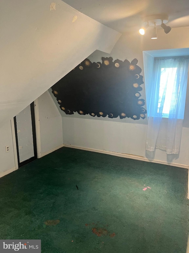 additional living space featuring carpet floors