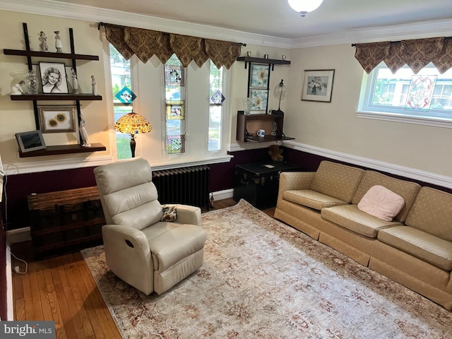 living room with radiator heating unit, hardwood / wood-style floors, and crown molding