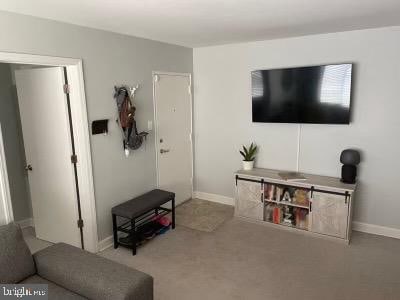 living room featuring carpet floors