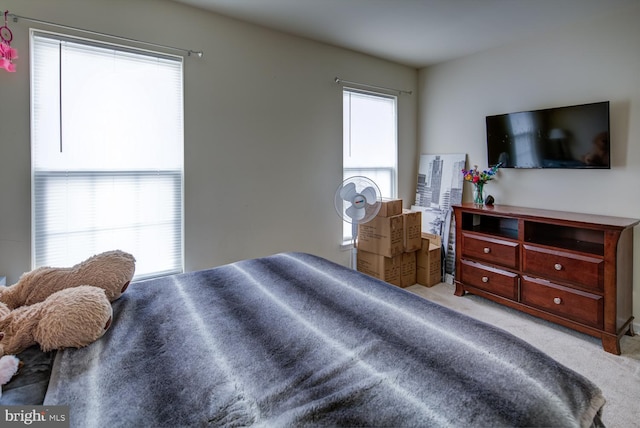 carpeted bedroom with multiple windows