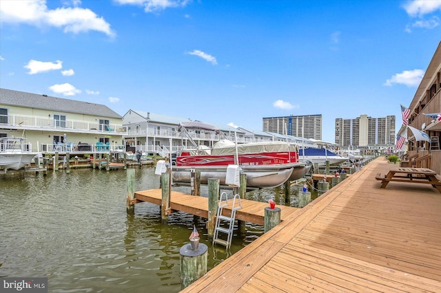 dock area with a water view