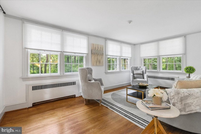 sunroom / solarium featuring radiator