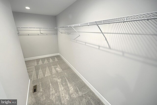 walk in closet with carpet floors