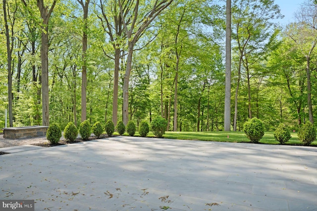 607 W Gravers Ln, Philadelphia, PA 19118 - view of patio / terrace