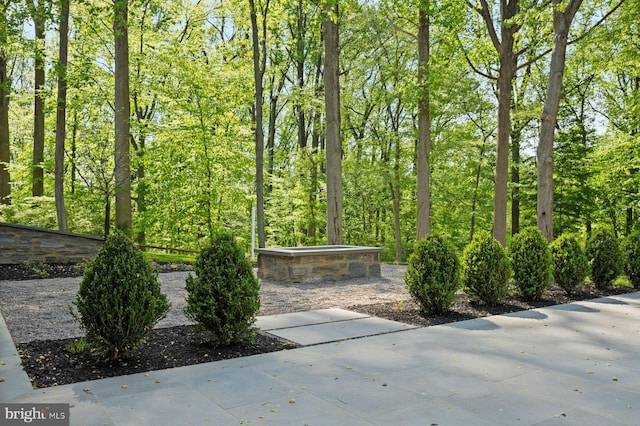 607 W Gravers Ln, Philadelphia, PA 19118 - view of patio / terrace