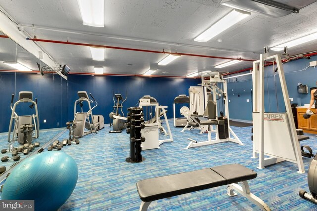 exercise room featuring carpet flooring