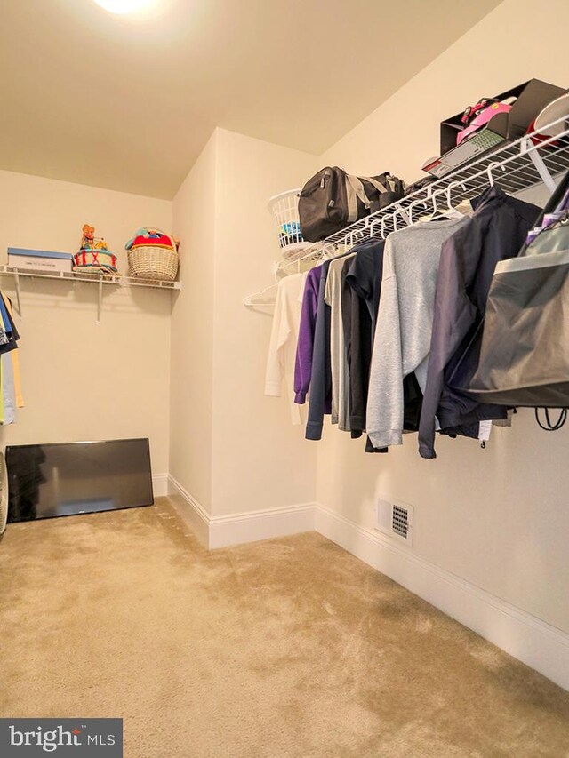 spacious closet featuring carpet floors