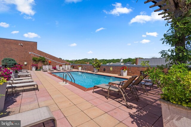 view of pool featuring a patio