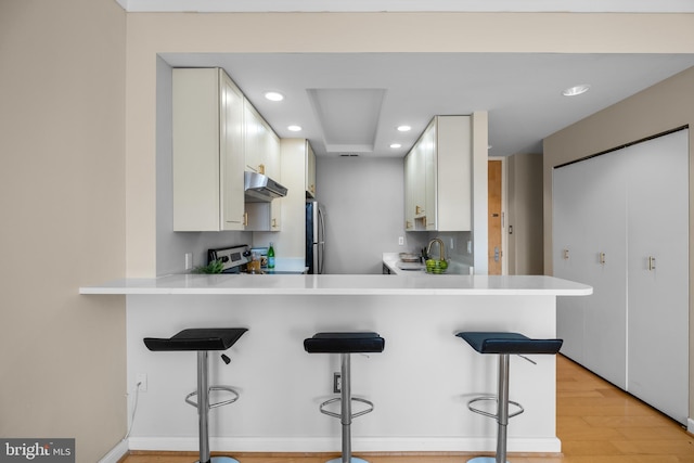 kitchen featuring under cabinet range hood, stove, light countertops, and freestanding refrigerator