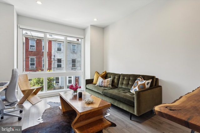 living room with hardwood / wood-style floors