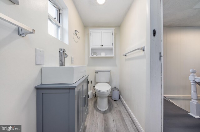 bathroom featuring vanity, wood-type flooring, and toilet