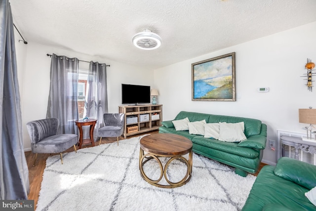 living room featuring hardwood / wood-style floors and a textured ceiling