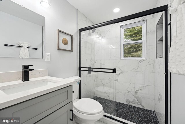 bathroom with vanity, an enclosed shower, and toilet