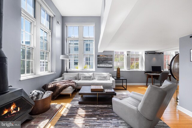 living room with a wood stove, a healthy amount of sunlight, and hardwood / wood-style floors