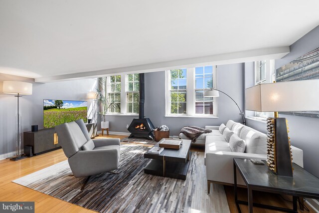 living room featuring hardwood / wood-style flooring and a wood stove