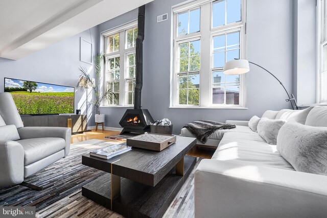 living room featuring a wood stove and hardwood / wood-style floors