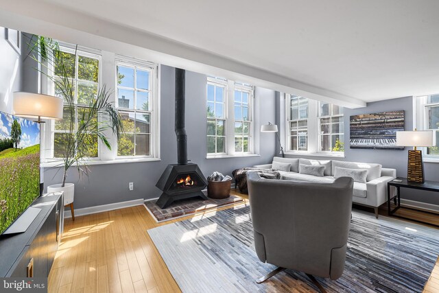 living room with a wood stove and light hardwood / wood-style flooring