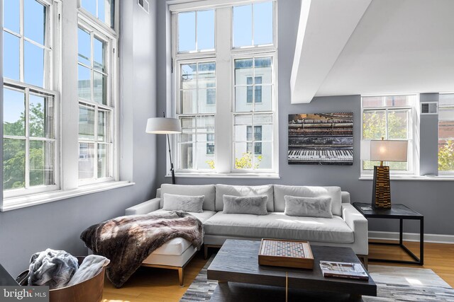 living room featuring wood-type flooring and plenty of natural light