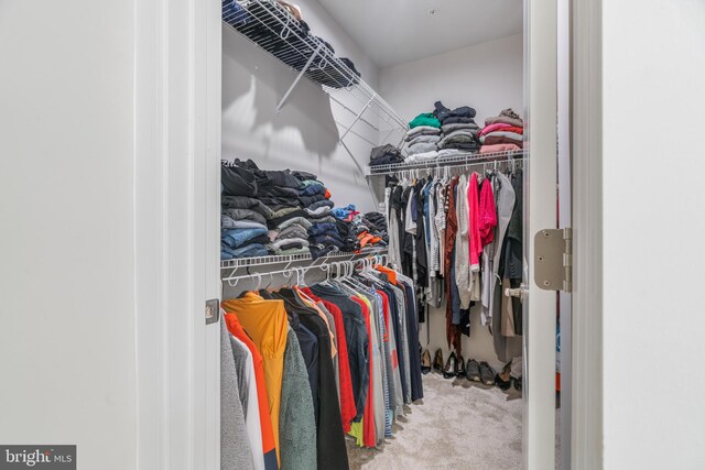 walk in closet with light colored carpet