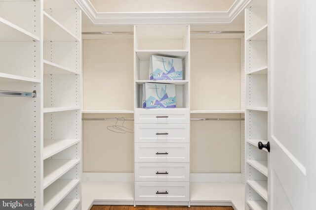 hallway featuring crown molding, a notable chandelier, and wood-type flooring