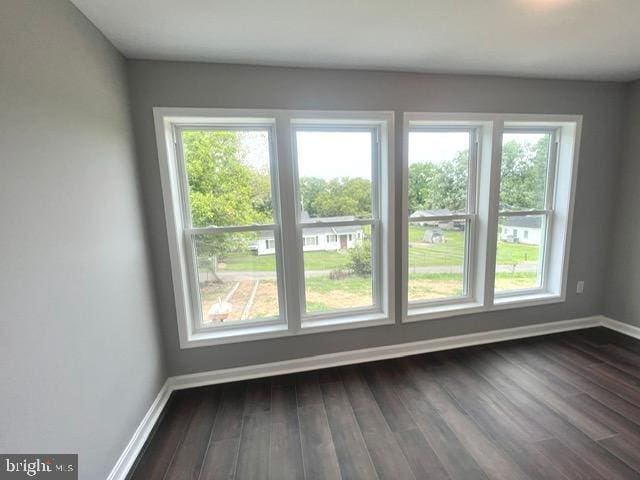 spare room with wood-type flooring