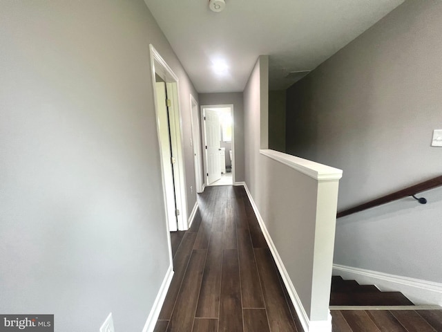 hallway featuring hardwood / wood-style floors