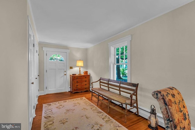 living area featuring wood-type flooring and ornamental molding