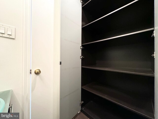 view of closet