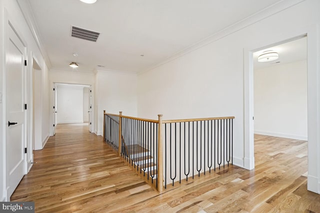 hall featuring hardwood / wood-style floors and crown molding