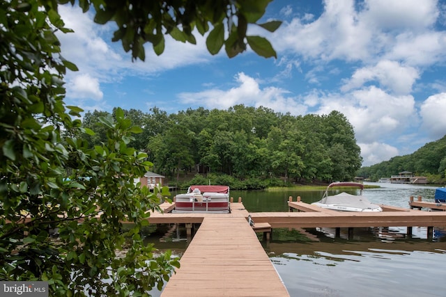 dock area with a water view