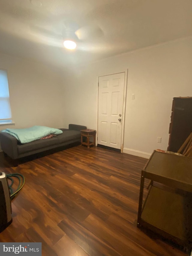 bedroom featuring dark wood-type flooring