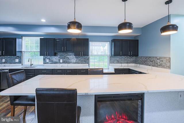 kitchen with decorative backsplash, dark hardwood / wood-style flooring, sink, and dishwasher