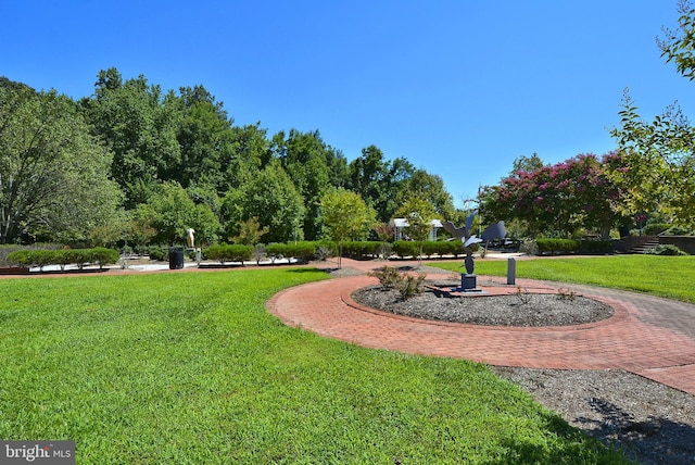 view of home's community with a lawn