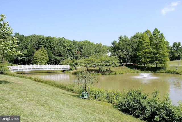 property view of water