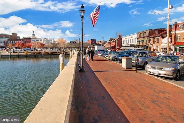 dock area with a water view