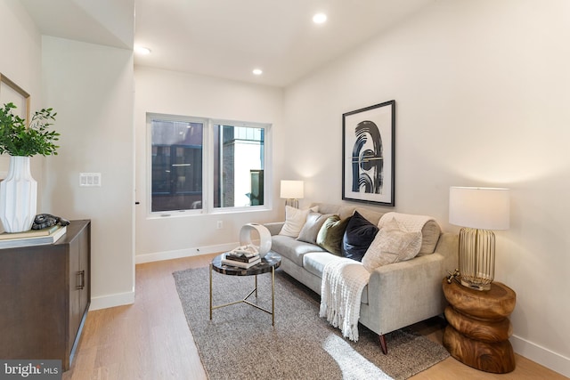 living room featuring light wood-type flooring