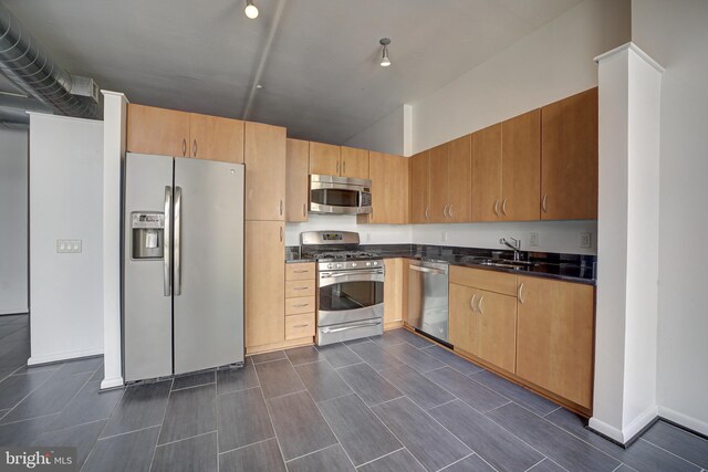 kitchen with sink, dark wood-type flooring, and stainless steel appliances