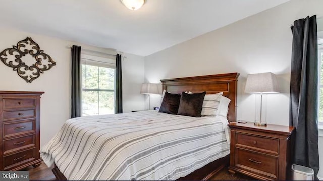 bedroom with lofted ceiling and dark wood-type flooring