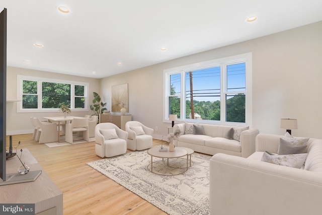 living room featuring hardwood / wood-style floors