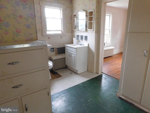 bathroom with vanity, radiator heating unit, wood-type flooring, and toilet